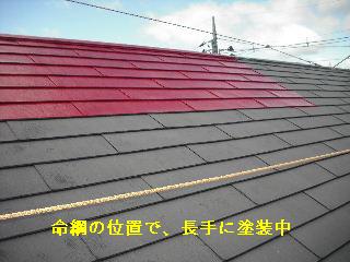塗装工事2日め_f0031037_2057086.jpg