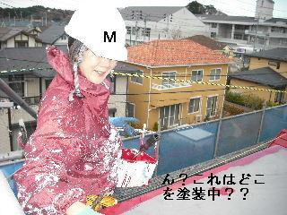 塗装工事2日め_f0031037_2058536.jpg