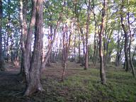 b0074939_8275697.jpg