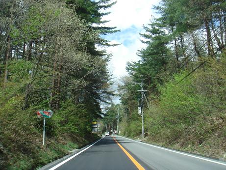 a0014840_2363279.jpg
