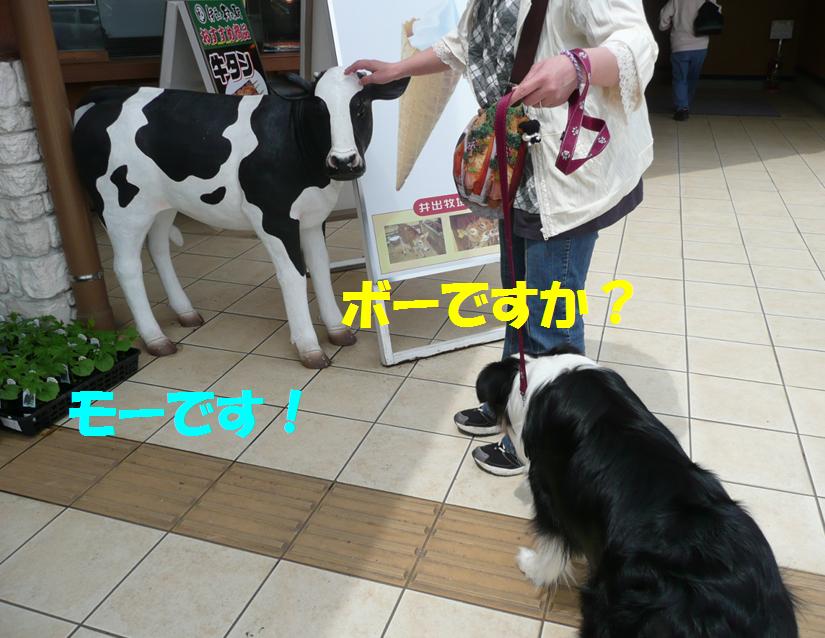 c0147241_0271323.jpg