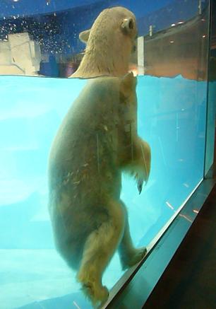 f0002743_1594110.jpg