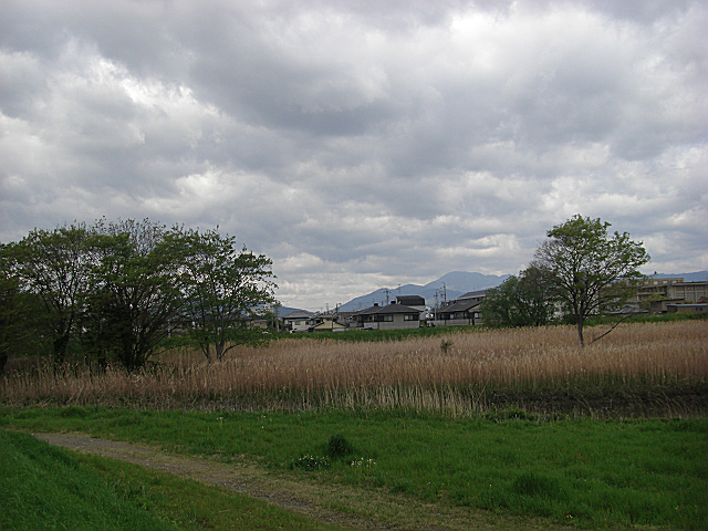 b0088444_2263662.jpg