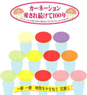 カーネーションのpop Kami Kitaのpopなblog