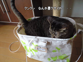 f0116546_23284219.gif