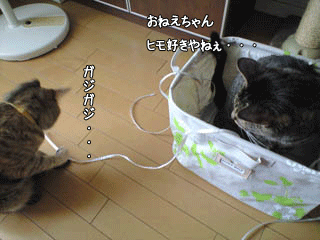f0116546_23293129.gif