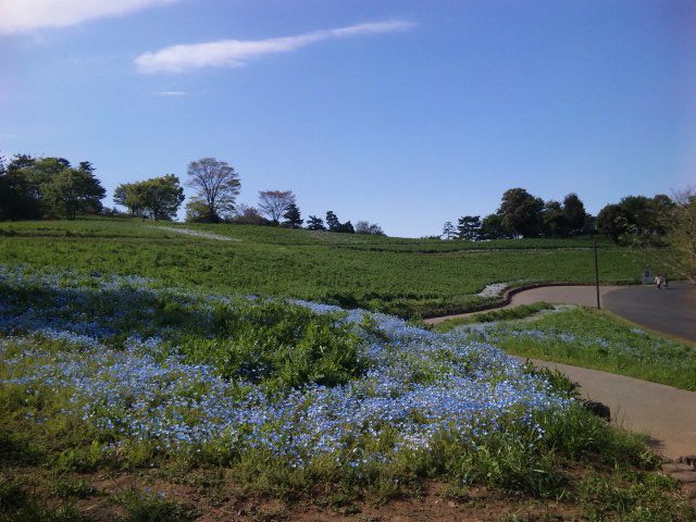 e0069647_21511283.jpg