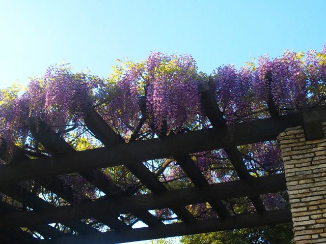 e0069647_22414469.jpg