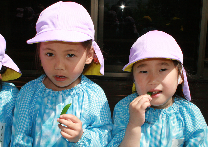 d0105749_12363434.jpg
