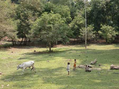 e0011951_20171144.gif