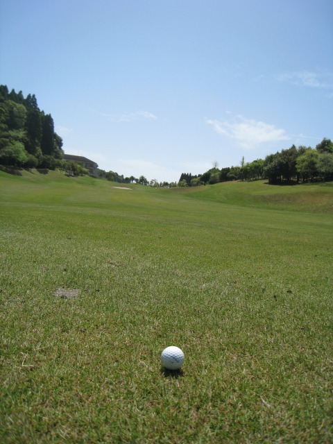 f0154751_1339746.jpg