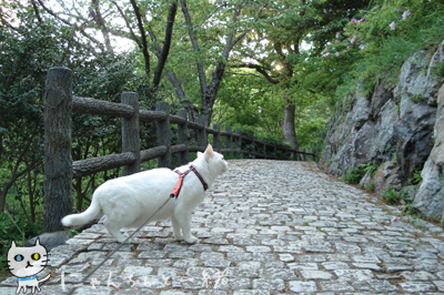 お城公園のお散歩　〜帰る頃になって、やっとやる気〜_e0031853_14251151.jpg