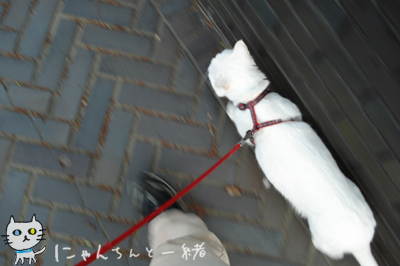 お城公園のお散歩 〜帰る頃になって、やっとやる気〜_e0031853_14281979.jpg