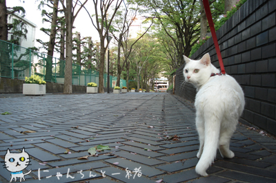 お城公園のお散歩　〜帰る頃になって、やっとやる気〜_e0031853_14294568.jpg