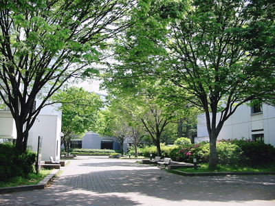 熊本県立大学の若緑・・・・・・図書館にも寄ってみました。_a0063658_018238.jpg