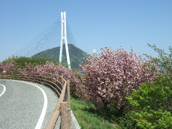c0178561_1772860.jpg
