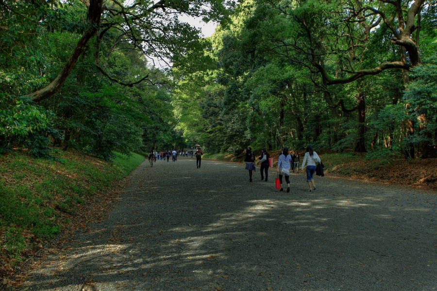 f0171065_0424989.jpg
