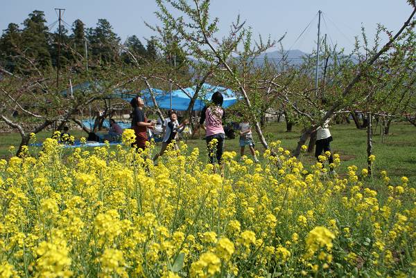 桃の花の下で・・・_b0019567_12225033.jpg