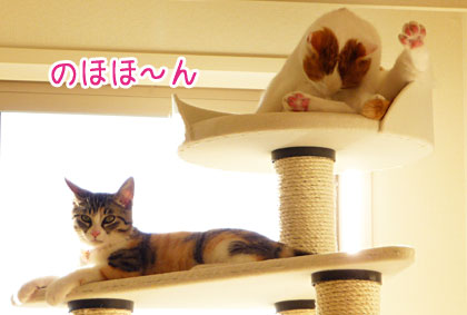 お役立ちタワー_a0119470_0591255.jpg