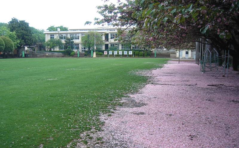 f0059673_8265891.jpg