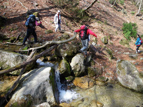 武奈ヶ岳集中登山_c0002874_23391496.jpg