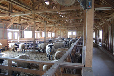 f0054977_8361215.jpg