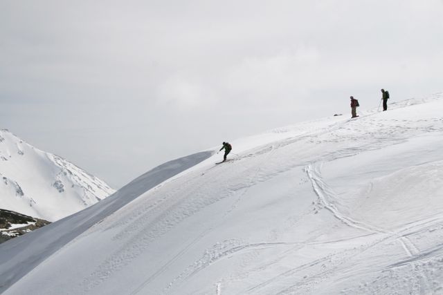 d0079579_22135568.jpg