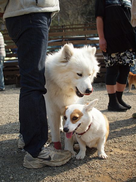 とぶき　200903 76_c0109780_2048281.jpg