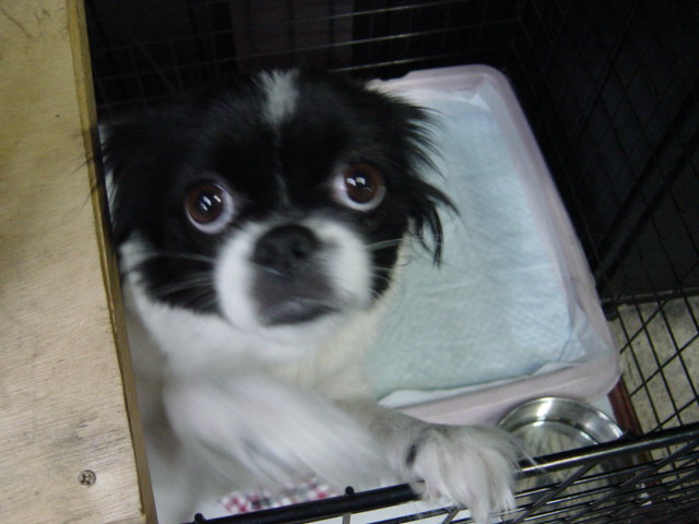 b0120981_0591580.jpg