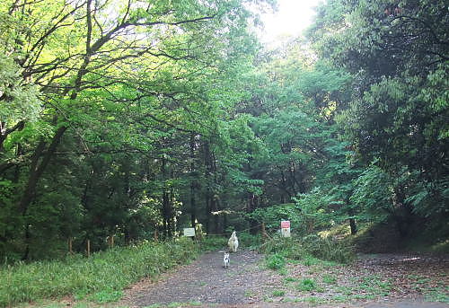 b0136381_10153230.jpg