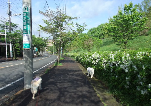b0136381_9442919.jpg