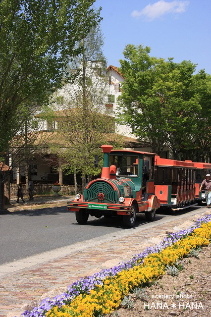 b0143484_1892040.jpg