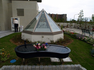 e0008887_78277.jpg