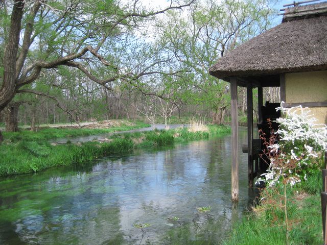 c0099395_11244711.jpg
