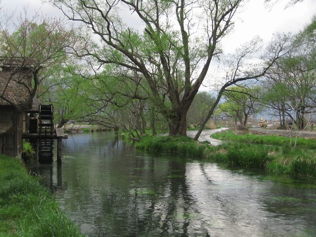 c0099395_11245456.jpg