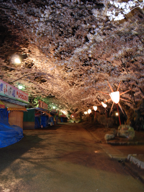 b0149098_149969.jpg