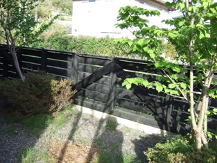 c0069498_1019814.jpg