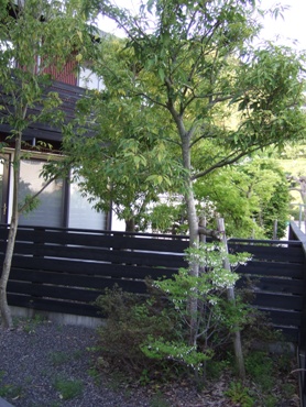 c0069498_10245499.jpg