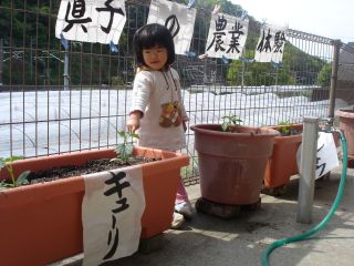 マコの農業体験!!&両親のお野菜販売!!_e0166301_14323768.jpg