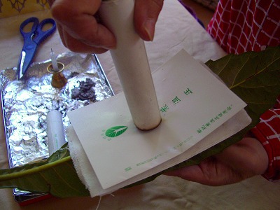 c0125702_047082.jpg