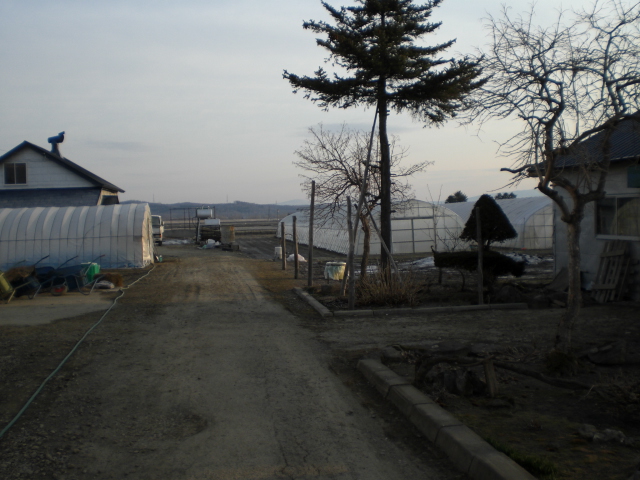 e0126302_6191224.jpg