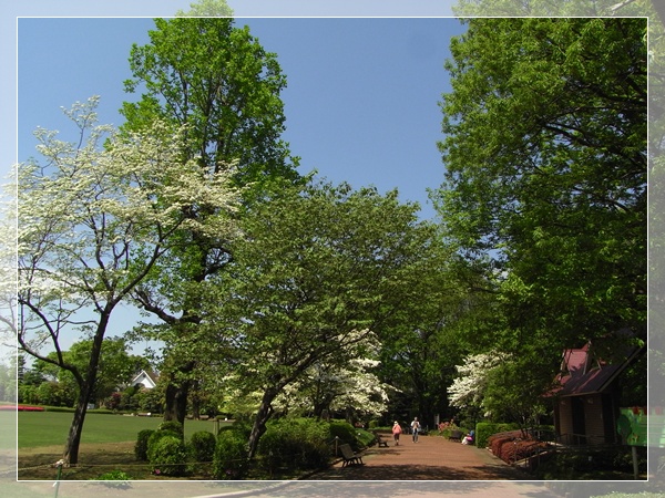 d0028304_2082384.jpg