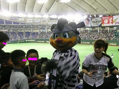 a0024005_4243663.jpg