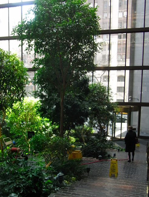 ＮＹで最も緑の多いオフィス・ビル？　Ford Foundation Building_b0007805_21253376.jpg