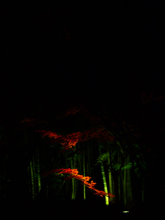 c0188405_025135.jpg