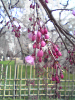 c0132608_18272761.jpg