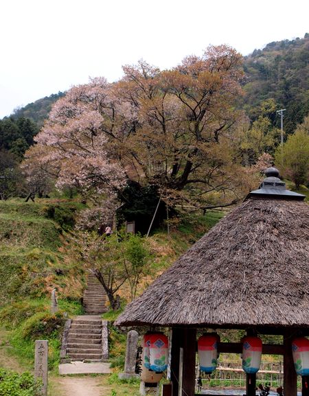 d0129108_9161926.jpg