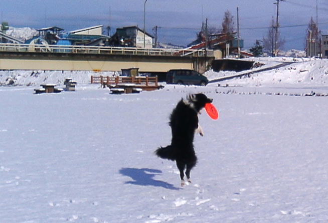 b0172209_23274720.jpg