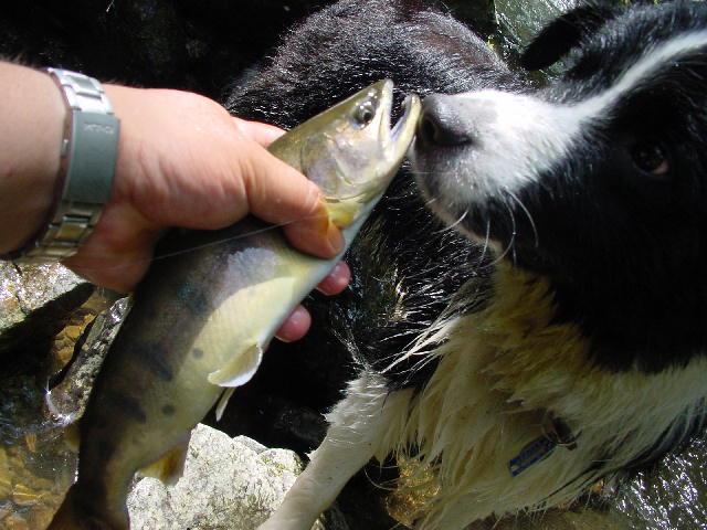 b0172209_2395840.jpg