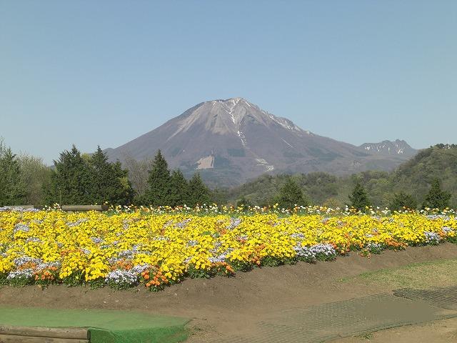 a0098510_1024825.jpg